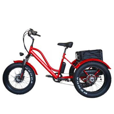 廣東深圳雪地三輪電動(dòng)車 20寸出口變速助力車廠家直銷價(jià)格解析