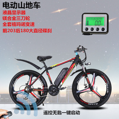 電動自行車市場 銷售現狀與未來趨勢