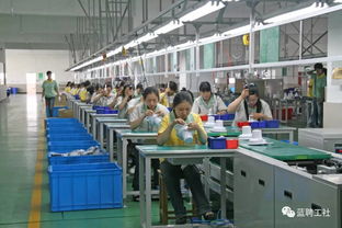 大齡工在家用電器研發(fā)企業(yè)的職業(yè)機(jī)遇與發(fā)展路徑
