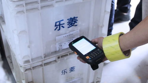 數(shù)字化與政策雙輪驅(qū)動 小家電產(chǎn)業(yè)集群的轉(zhuǎn)型與創(chuàng)新之路
